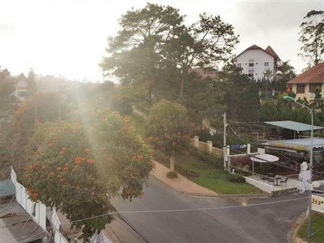 nang-vang-view
